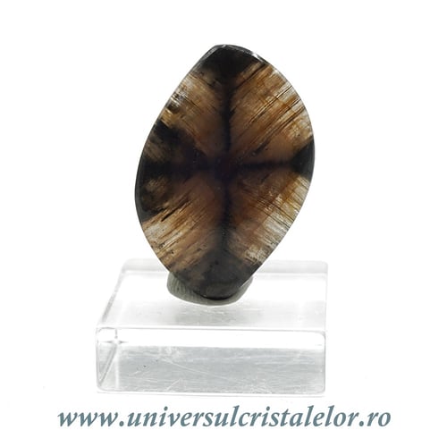 Cabochon chiastolit