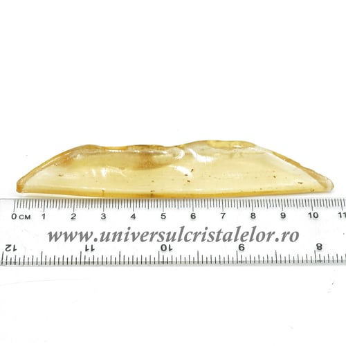 Copal (Chihlimbar tanar)