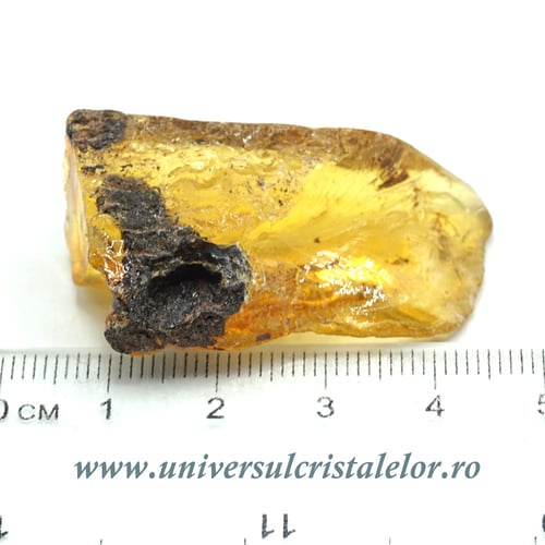 Copal (Chihlimbar tanar)