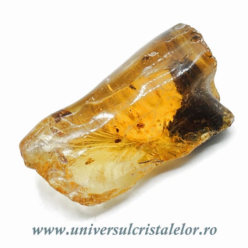 Copal (Chihlimbar tanar)