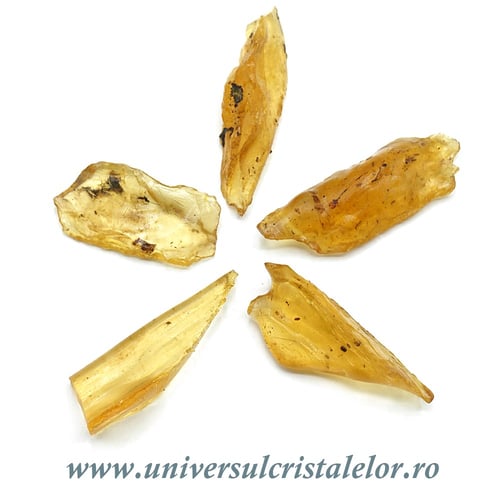 Copal (Chihlimbar tanar)