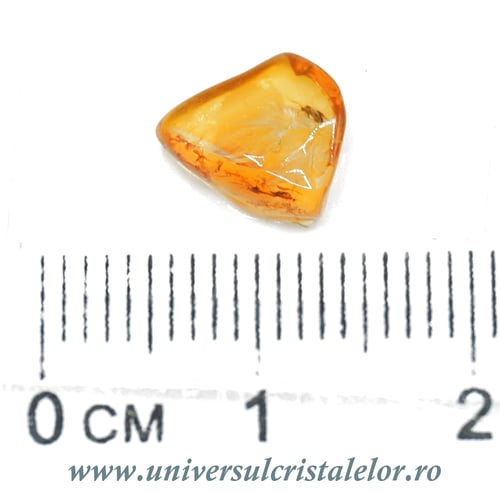 Chihlimbar cu insecte