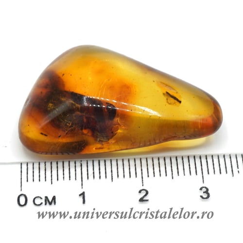 Chihlimbar rulat unicat