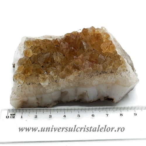 Citrin cluster unicat m25