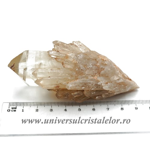 Citrin natural unicat m12