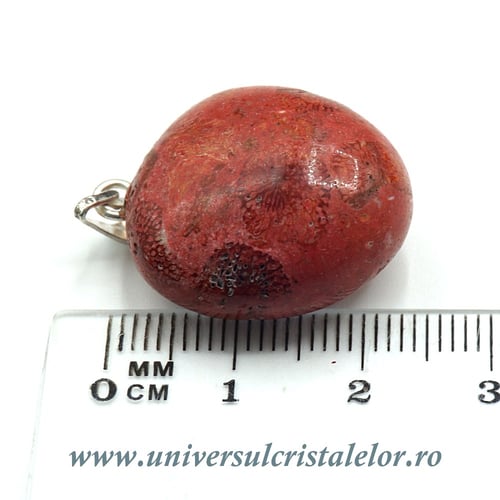 Pandantiv coral rosu (spongios)