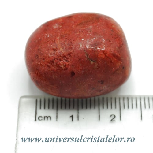 Coral rosu ( spongios )rulat