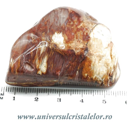 Cuart amfibol polisat