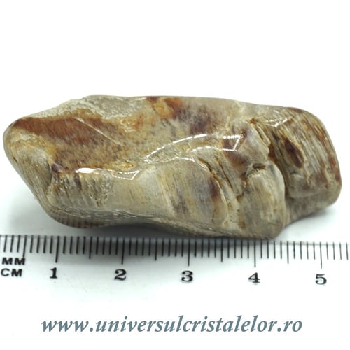 Cuart amfibol polisat