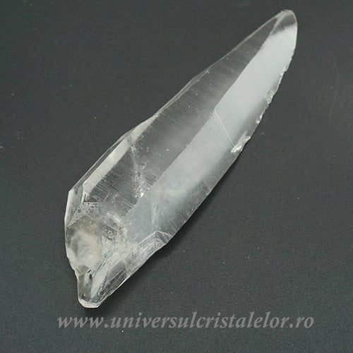 Cuart lemurian