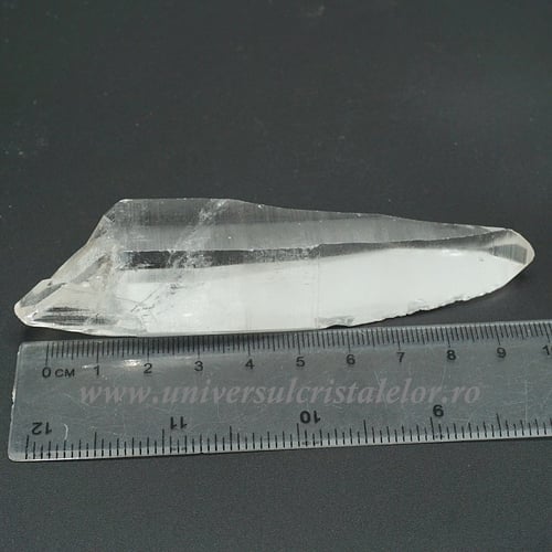 Cuart lemurian