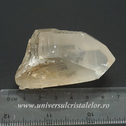 Cuart lemurian