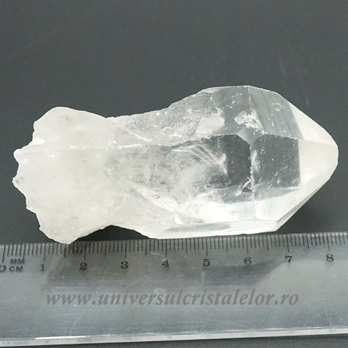 Cuart lemurian