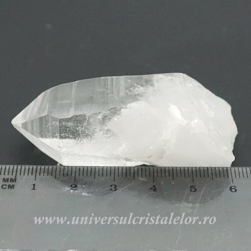 Cuart lemurian