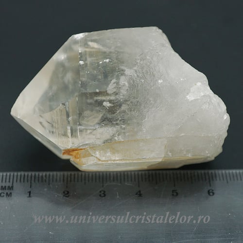 Cuart lemurian