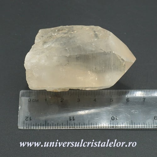 Cuart lemurian
