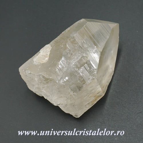 Cuart lemurian
