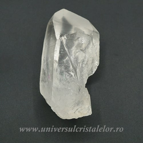 Cuart lemurian