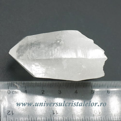 Cuart lemurian