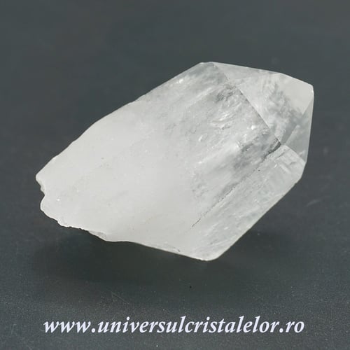 Cuart lemurian