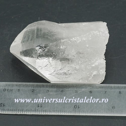Cuart lemurian