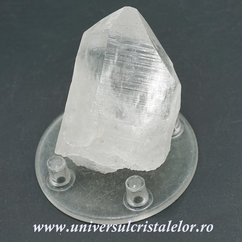 Cuart lemurian