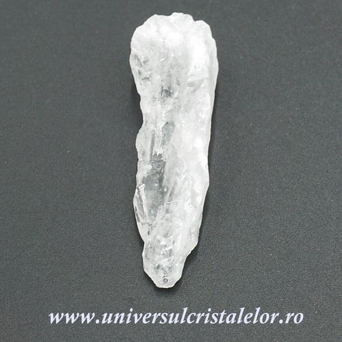 Cuart lemurian (radacina)