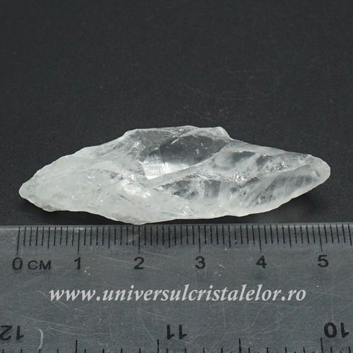 Cuart lemurian (radacina)