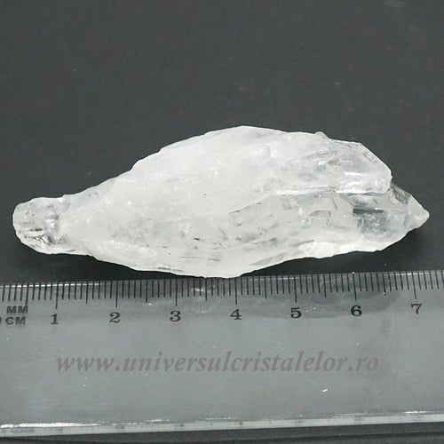 Cuart lemurian (radacina)