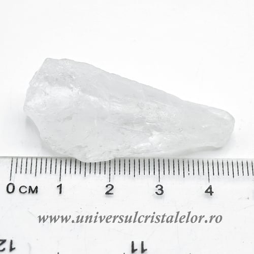 Cuart lemurian (radacina)