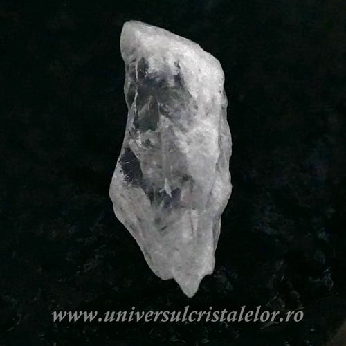 Cuart lemurian (radacina)
