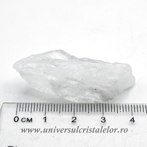 Cuart lemurian (radacina)