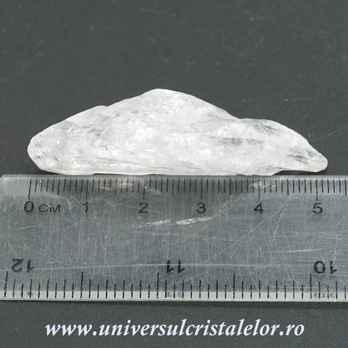 Cuart lemurian (radacina)