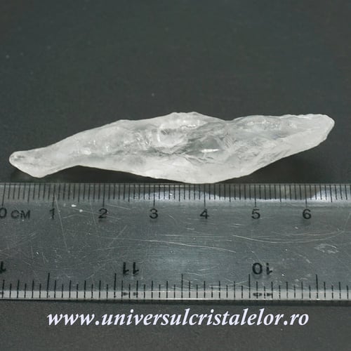 Cuart lemurian (radacina)