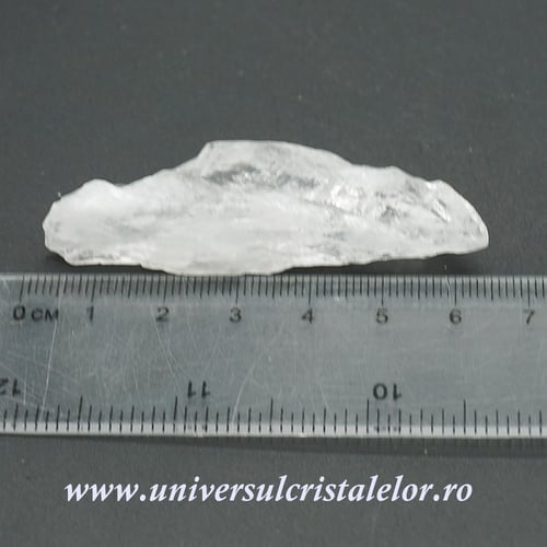 Cuart lemurian (radacina)