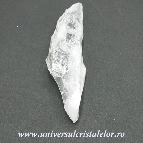 Cuart lemurian (radacina)