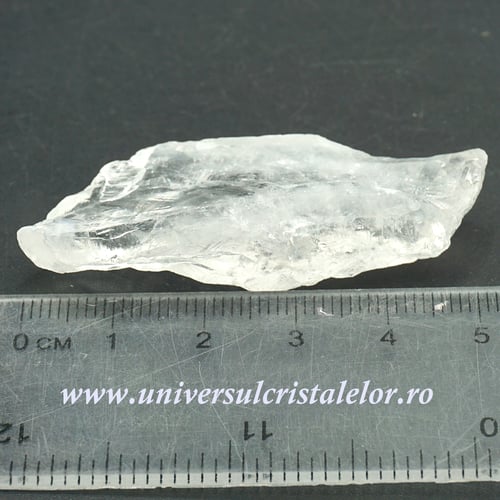 Cuart lemurian (radacina)