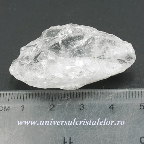 Cuart lemurian (radacina)