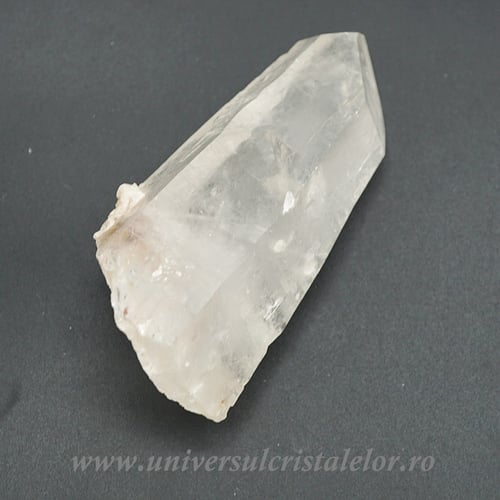 Cuart lemurian
