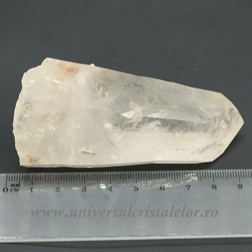 Cuart lemurian