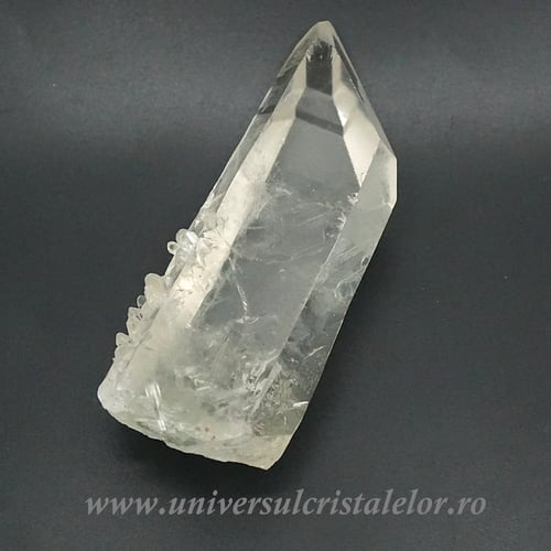 Cuart lemurian
