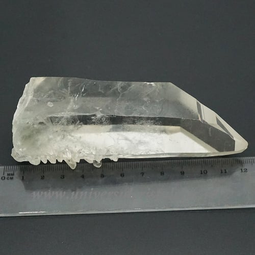 Cuart lemurian
