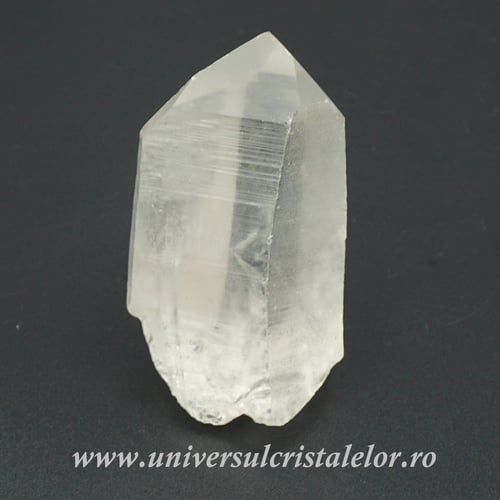 Cuart lemurian