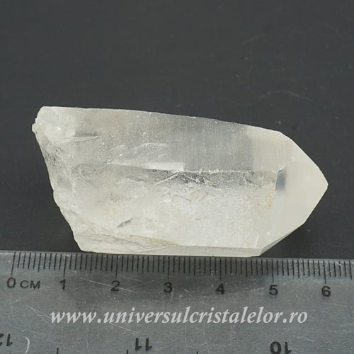 Cuart lemurian