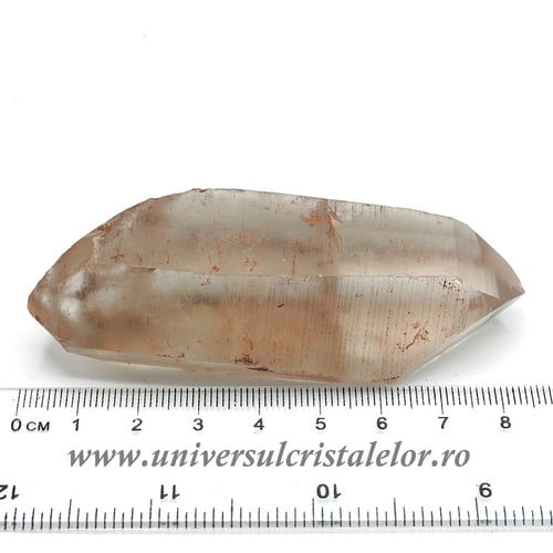 Cuart lemurian