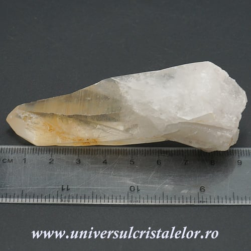 Cuart lemurian