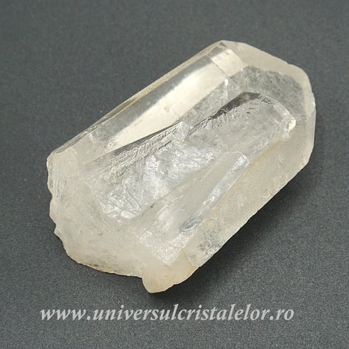 Cuart lemurian