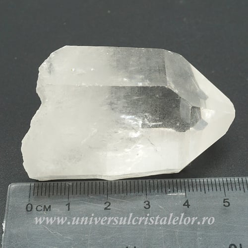 Cuart lemurian