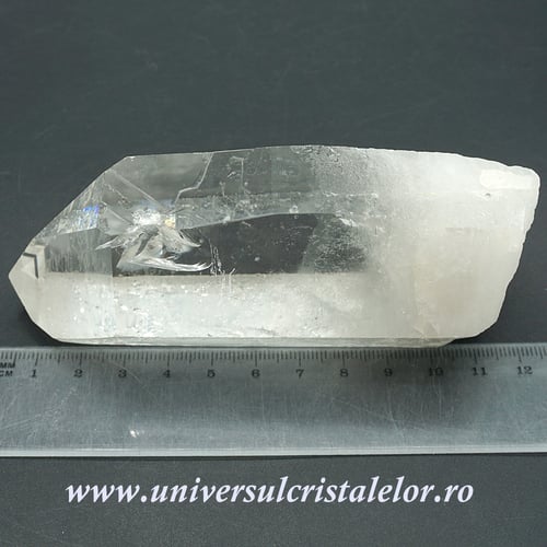 Cuart lemurian