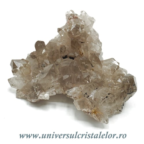 Cuart fumuriu cluster